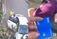 'Tenho medo de ir na rua', diz idosa agredida e assaltada por taxista em BH