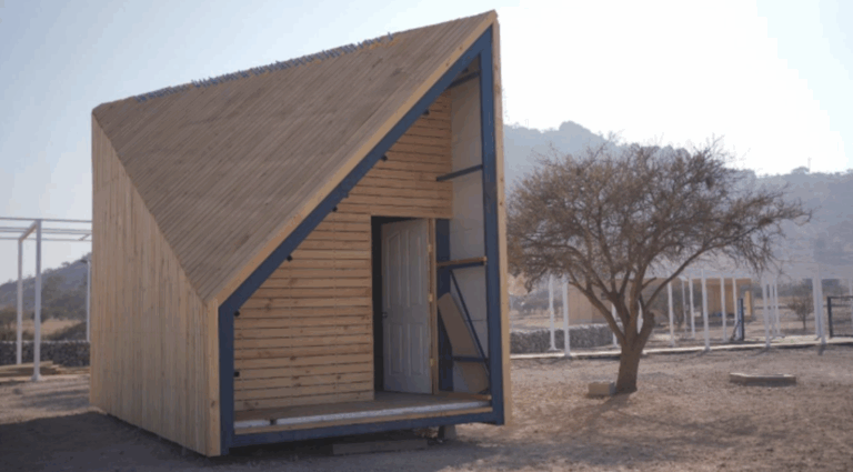 Pesquisadora chilena transforma algas marrons em material sustentável para a construção civil
