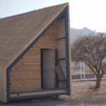 Pesquisadora chilena transforma algas marrons em material sustentável para a construção civil