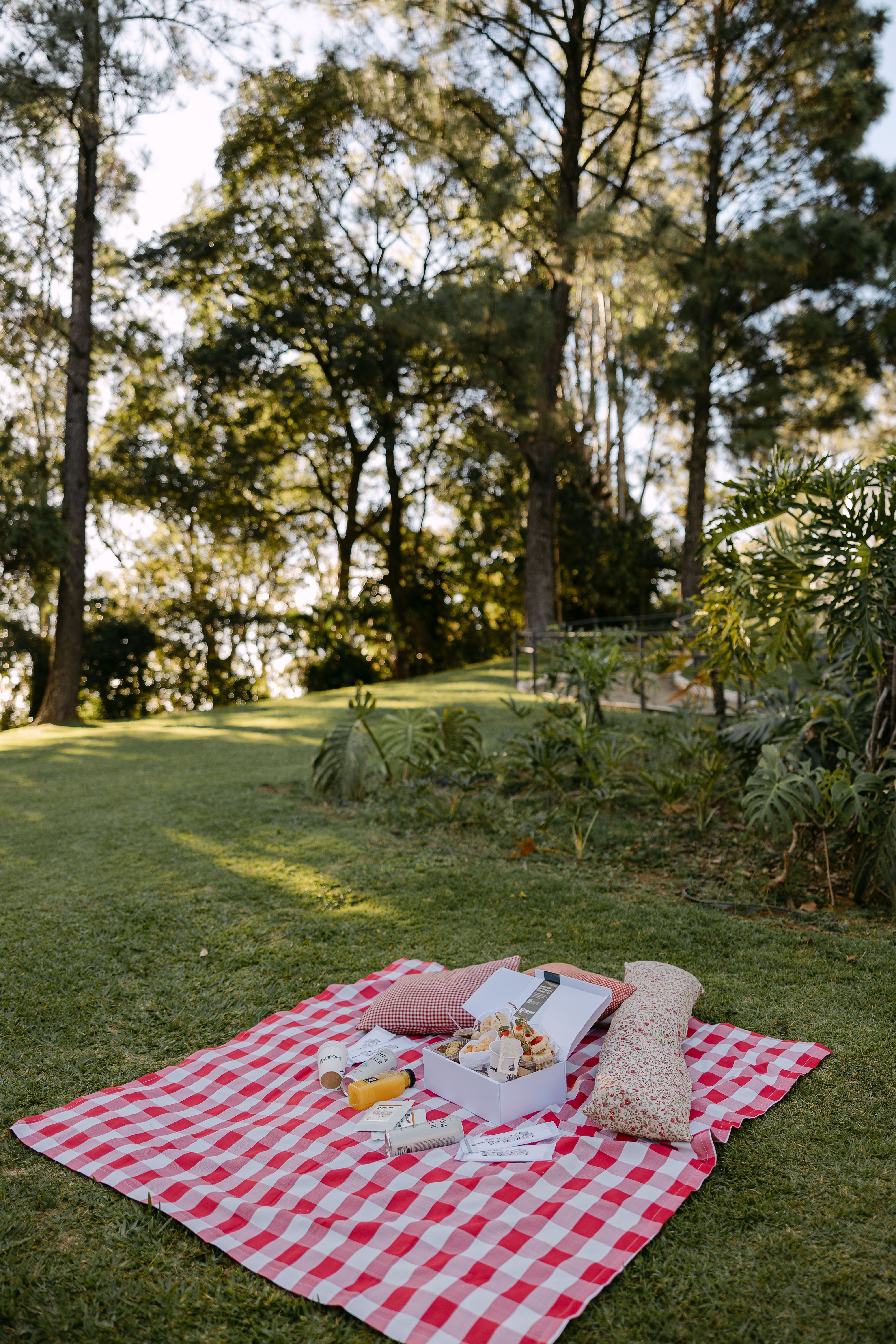 Parque do Palácio promove piquenique ao ar livre para celebrar o Dia das Mães