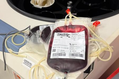 Doação de sangue: prazo após tatuagem e piercing será reduzido; veja novas regras