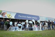 Concurso leiteiro da Fenasul Expoleite define campeãs da raça Holandesa