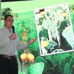 Palmatech debate uso da palma forrageira no Semiárido mineiro