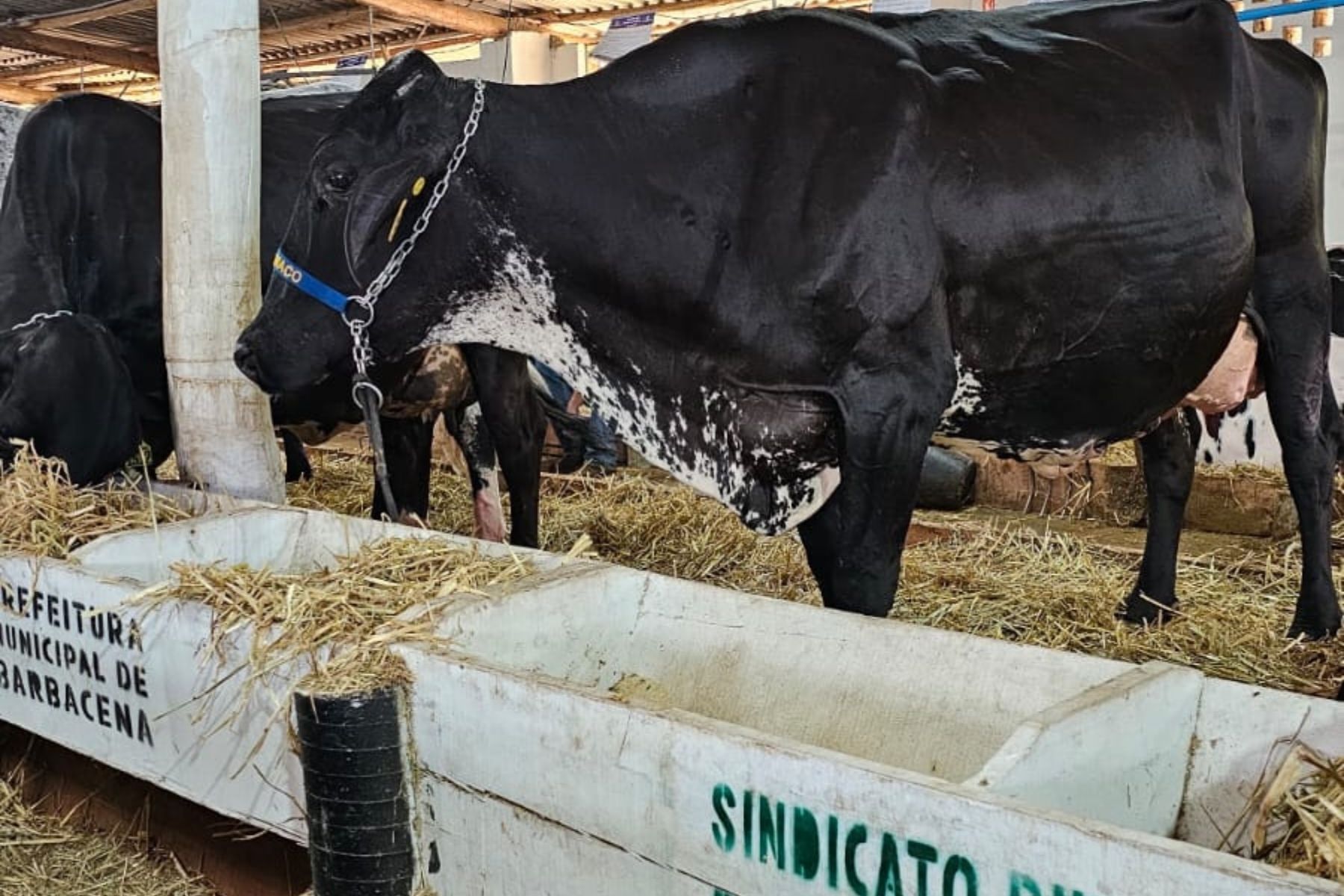 Expoagro de Barbacena alcança marca histórica em edição com novidades