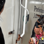 Mais de 800 castrações de animais foram realizadas em Juiz de Fora
