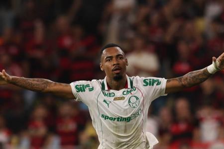 Allan comemora gol pelo Palmeiras