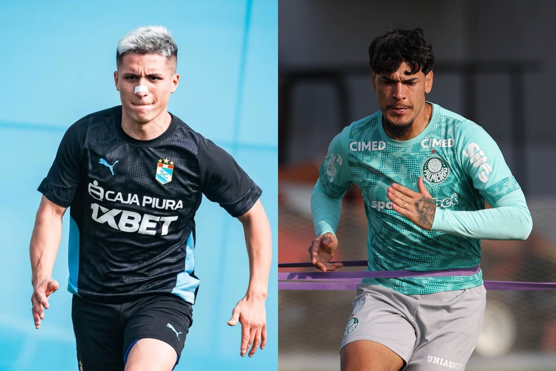 De olho na liderança do Grupo F, Palmeiras visita o Sporting Cristal pela Libertadores