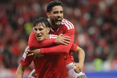 Jogadores do Internacional celebram gol diante do Fluminense, neste domingo (3)