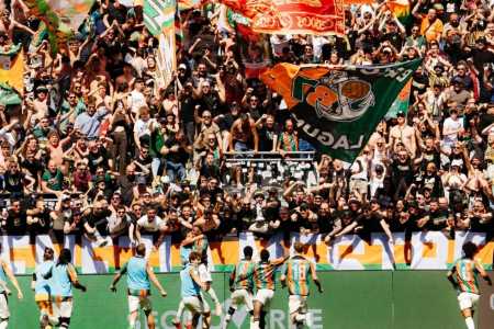 Jogadores do Venezia comemorando com a torcida