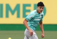 Ramón Sosa, do Palmeiras, vai jogar Copa após lesão? Veja o que sabemos
