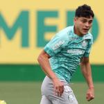 Ramón Sosa, do Palmeiras, vai jogar Copa após lesão? Veja o que sabemos