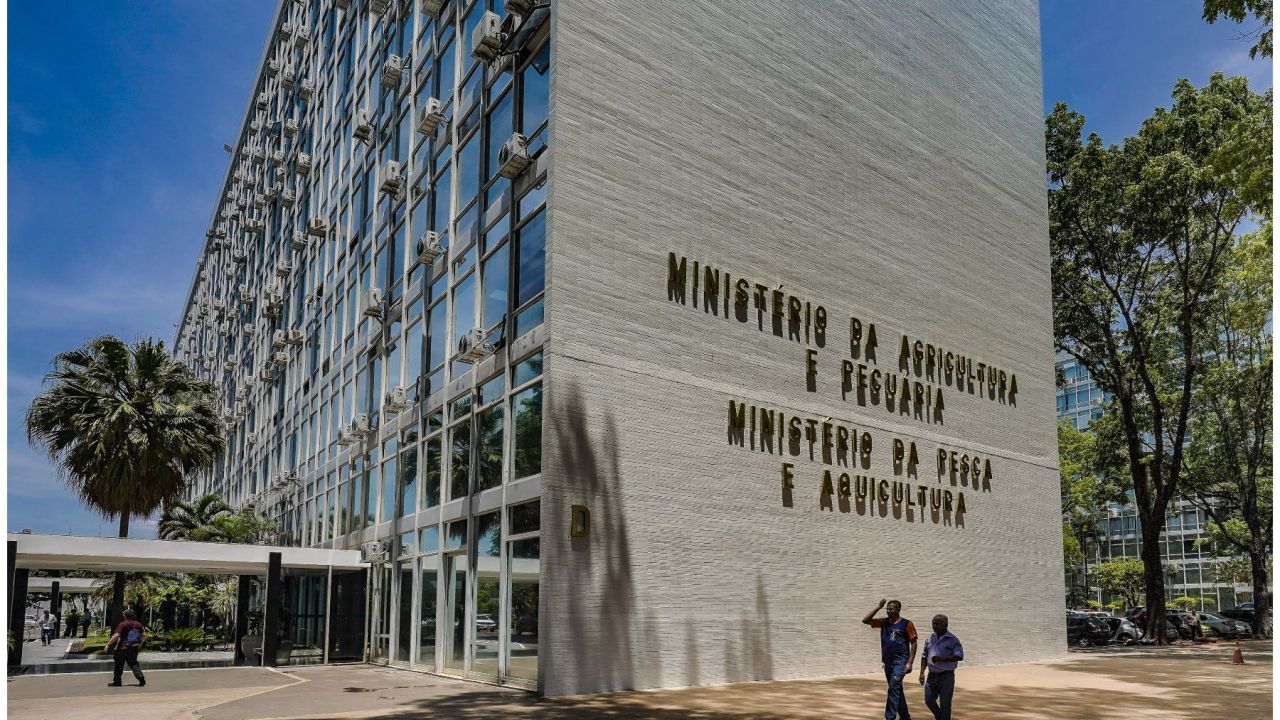 Veto a carnes brasileiras: Ministério da Agricultura estabelece gabinete de crise com UE
