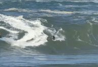 Brasileiro pentacampeão mundial sofre 'caldo' em onda gigante no Rio; veja imagens