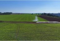 Inconsistências em monitoramento via satélite criam barreiras para acesso ao crédito rural