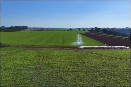 Agro - Área verde