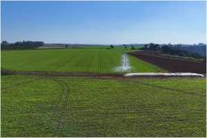 Desafios financeiros e cenário de instabilidade geram incertezas para o agro brasileiro