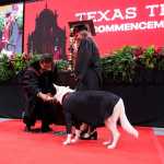 Cão de serviço recebe 'diploma' durante formatura universitária nos EUA