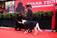 Cão de serviço recebe 'diploma' durante formatura universitária nos EUA