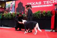 Cão de serviço recebe 'diploma' durante formatura universitária nos EUA