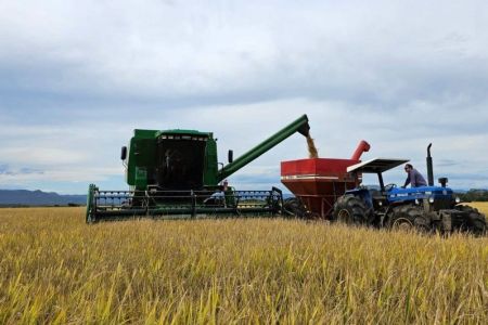 Colheita do arroz no RS alcança 98,68% da área cultivada