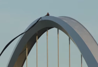 Ativista americana escala ponte para protestar contra Trump e inteligência artificial
