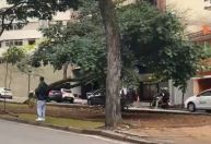 Árvore de grande porte cai em avenida de BH