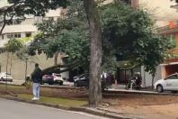 Árvore de grande porte cai em avenida de BH