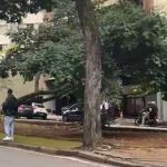 Árvore de grande porte cai em avenida de BH