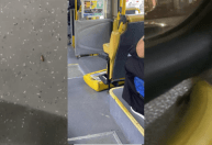 Passageiros denunciam ônibus com baratas e bancos quebrados no hipercentro de BH