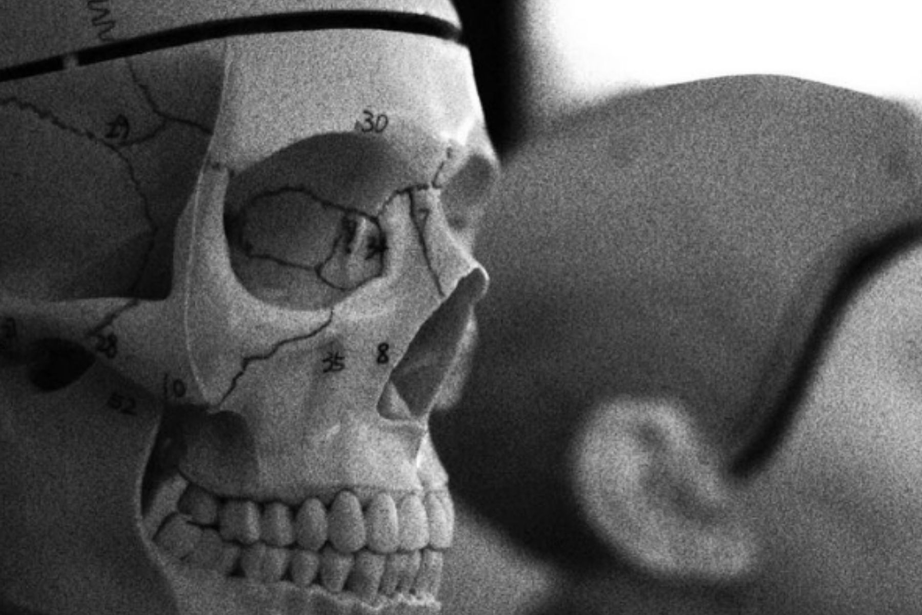 Descoberta de possível ancestral humano pode reescrever a história da evolução