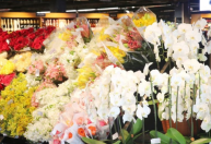 Dia das Mães: preços de flores e rodízios de carne variam até 300% em Belo Horizonte