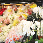 Dia das Mães: preços de flores e rodízios de carne variam até 300% em Belo Horizonte