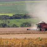 El Niño: Minas Gerais se prepara para impactos na economia