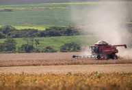 El Niño: Minas Gerais se prepara para impactos na economia