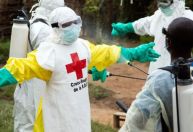 OMS declara como emergência de saúde surto de Ebola em países africanos