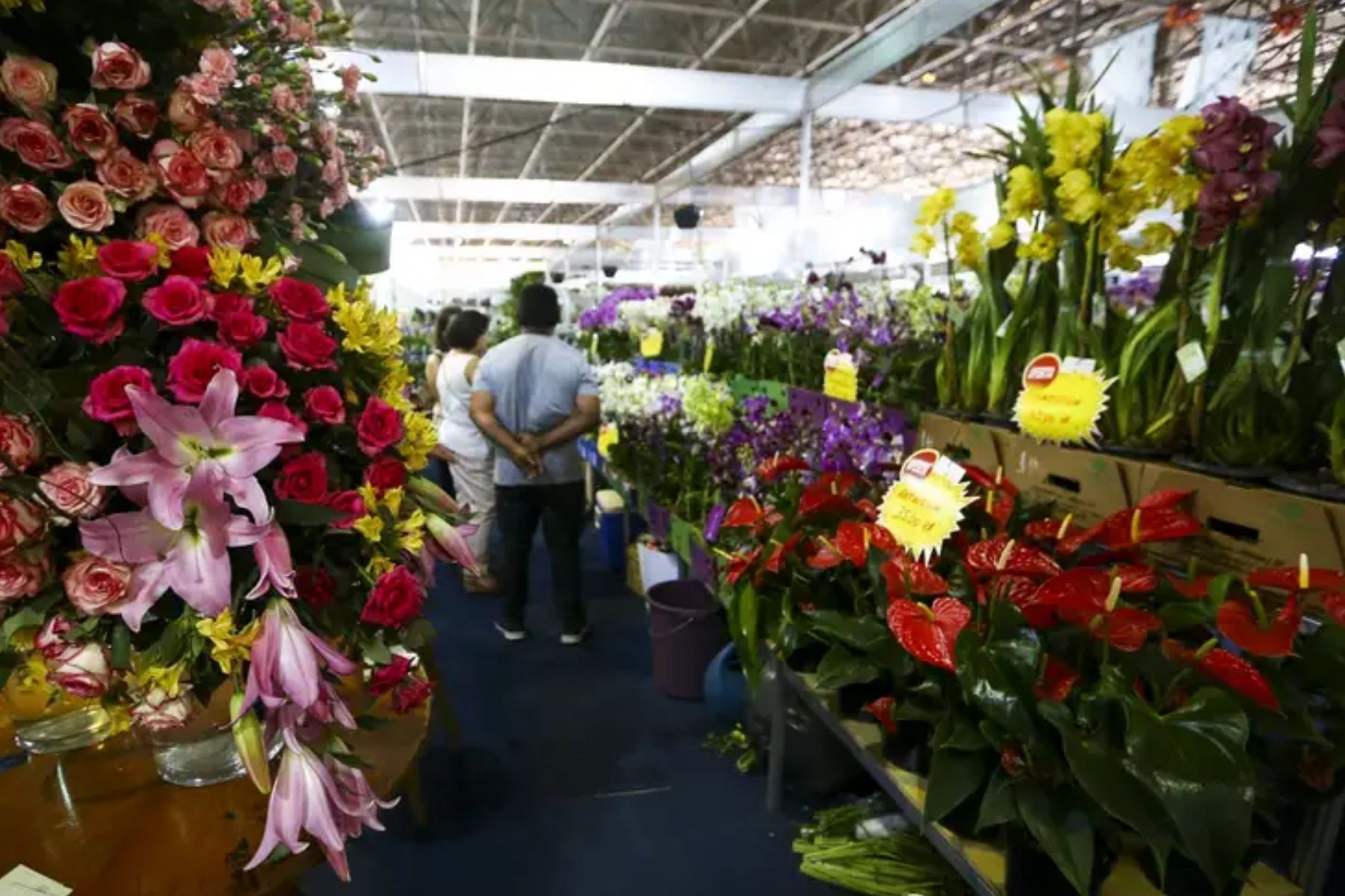 Dia das Mães: buquê pode chegar a R$ 578 e rodízio tem variação de até 300% em BH