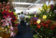 Dia das Mães: buquê pode chegar a R$ 578 e rodízio tem variação de até 300% em BH