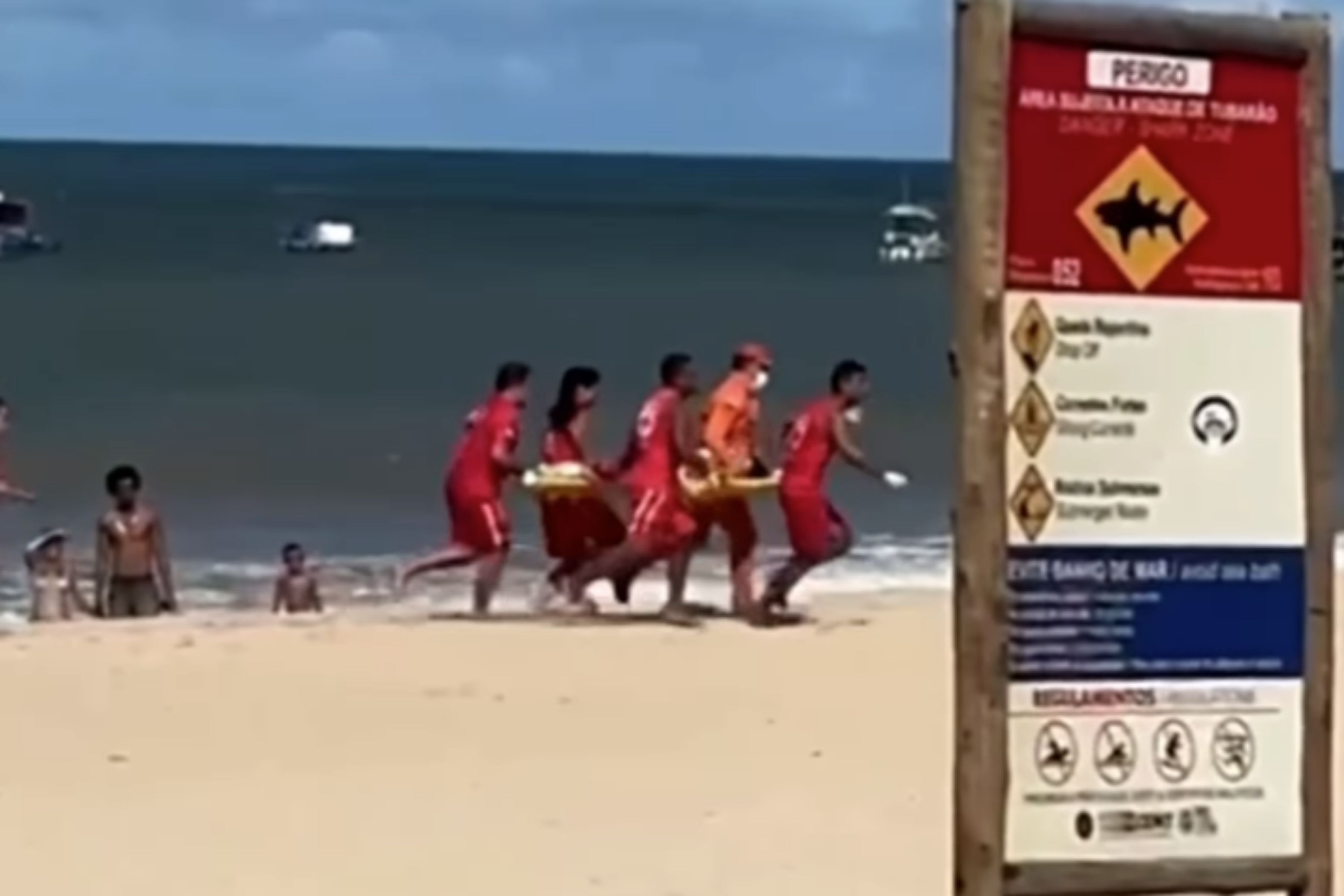 Criança é mordida por tubarão em praia no Grande Recife