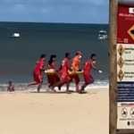 Criança é mordida por tubarão em praia no Grande Recife