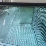 Vídeo mostra suspeito correndo após morte de mulher em avenida de BH