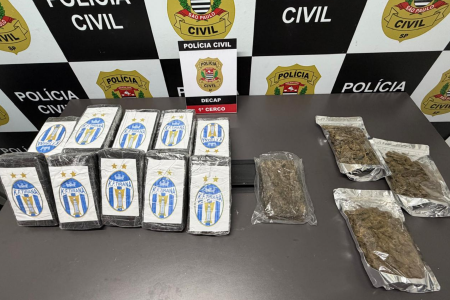 Polícia localizou tijolos de cocaína e porções de maconha