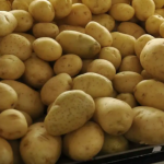 Truque francês deixa purê de batatas mais cremoso com alho confitado