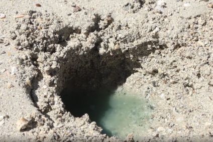 Contaminação na Praia de São Tomé de Paripe, em Salvador (BA).