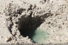 Contaminação na Praia de São Tomé de Paripe, em Salvador (BA).