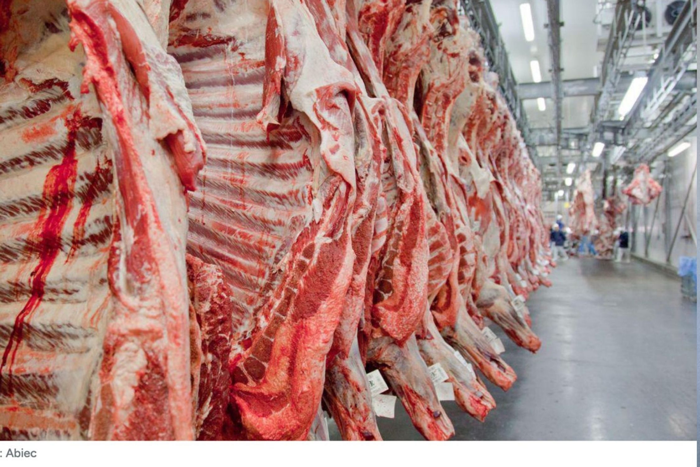 Trump reabre portas para a carne brasileira, mas Xi Jinping mantém a muralha chinesa