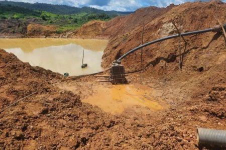 Meio século depois, mercúrio de mineração ilegal ainda contamina a Mata Atlântica