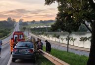 Cavalo 'entra' em carro durante atropelamento na MG-050