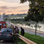 Cavalo 'entra' em carro durante atropelamento na MG-050