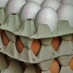 Preço dos ovos despenca 14% em abril e atinge o menor valor real em 4 anos