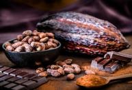 Lei do chocolate: Governo fixa teor mínimo de cacau e novas regras; veja o que muda